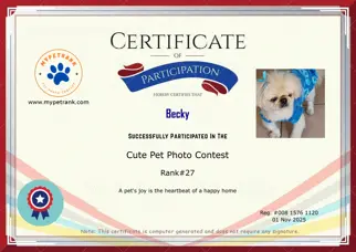 Certificate Preview