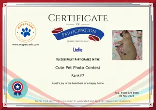 Certificate Preview