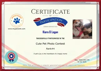 Certificate Preview