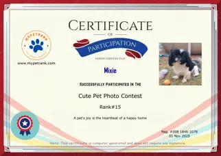 Certificate Preview