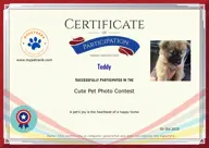 Locked Certificate Preview