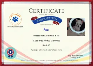 Certificate Preview