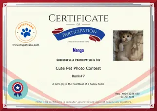 Certificate Preview