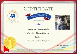Certificate Preview