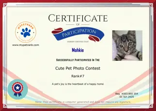 Certificate Preview