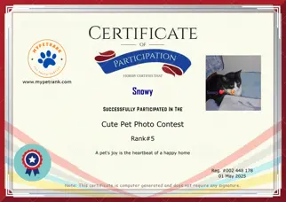 Certificate Preview