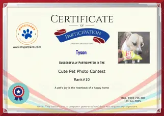 Certificate Preview