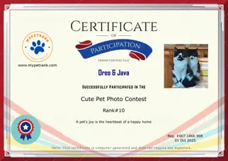 Certificate Preview