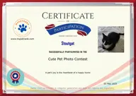 Locked Certificate Preview