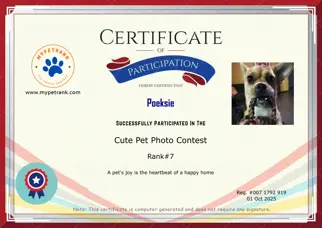 Certificate Preview