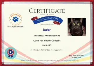 Certificate Preview