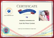 Locked Certificate Preview