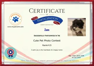 Certificate Preview