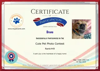Certificate Preview