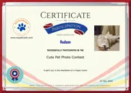 Locked Certificate Preview