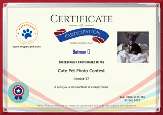 Certificate Preview