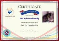 Locked Certificate Preview