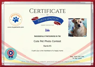 Certificate Preview