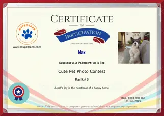 Certificate Preview