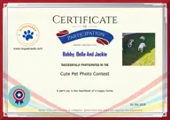 Locked Certificate Preview