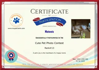 Certificate Preview