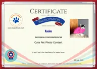 Locked Certificate Preview