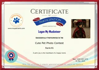 Certificate Preview