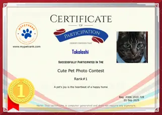 Certificate Preview