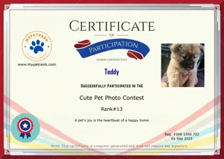 Certificate Preview