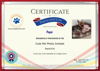 Certificate Preview