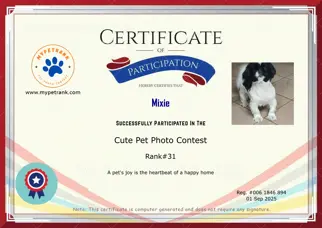 Certificate Preview