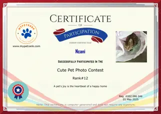Certificate Preview