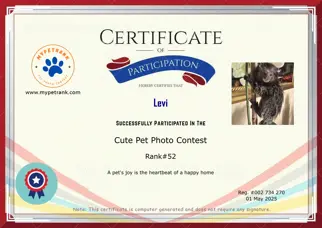 Certificate Preview