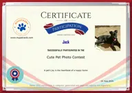 Locked Certificate Preview