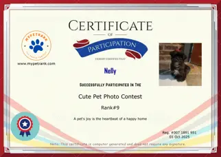 Certificate Preview