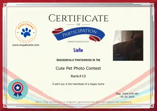 Certificate Preview
