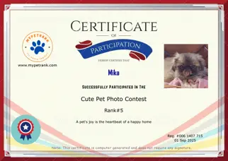 Certificate Preview