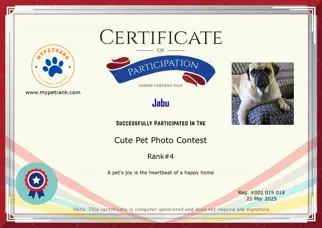 Certificate Preview