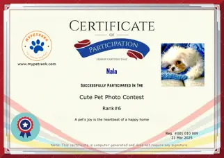 Certificate Preview