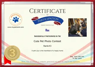 Certificate Preview